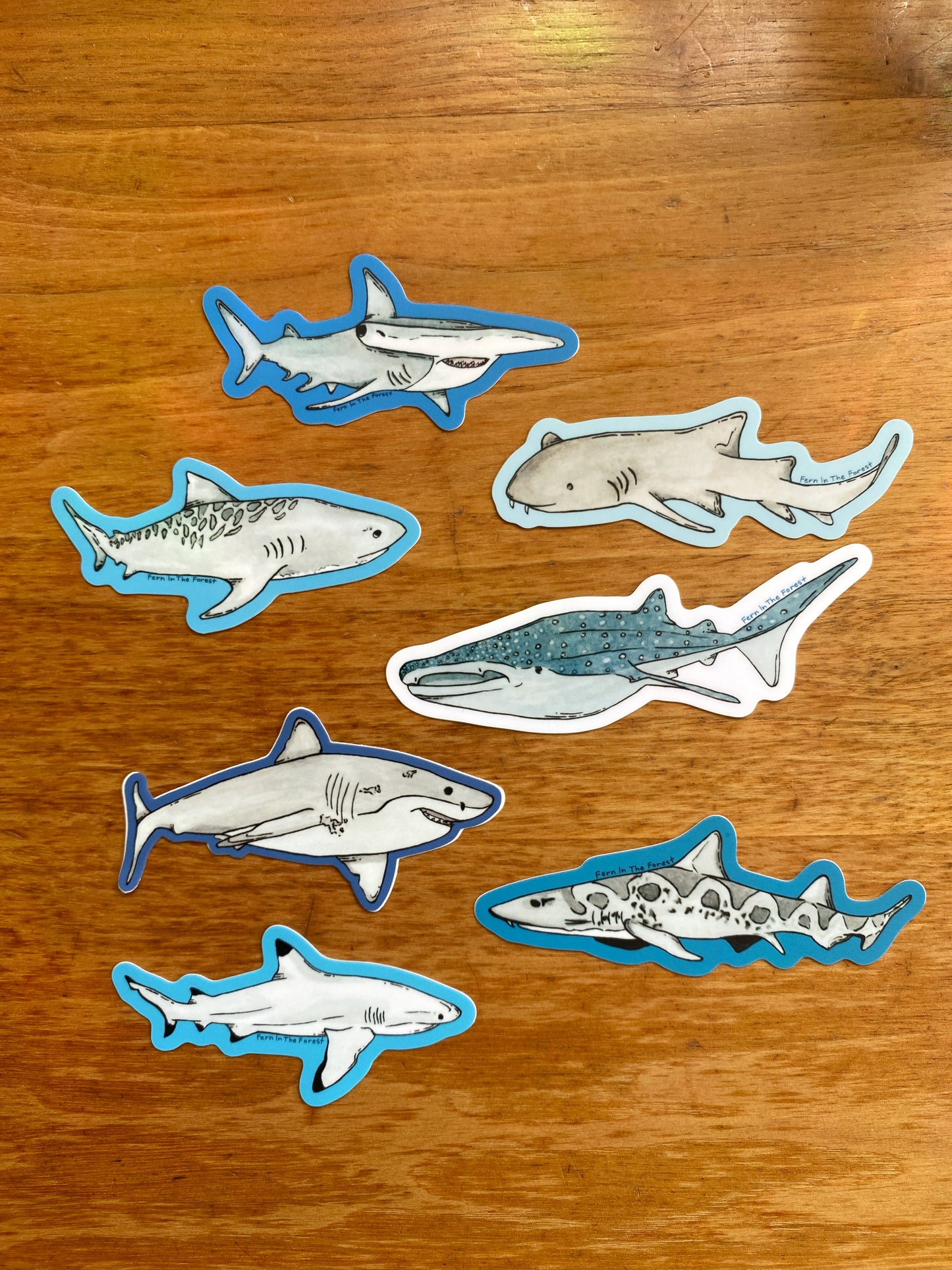 Shark Sticker Bundle- Illustrated Stickers