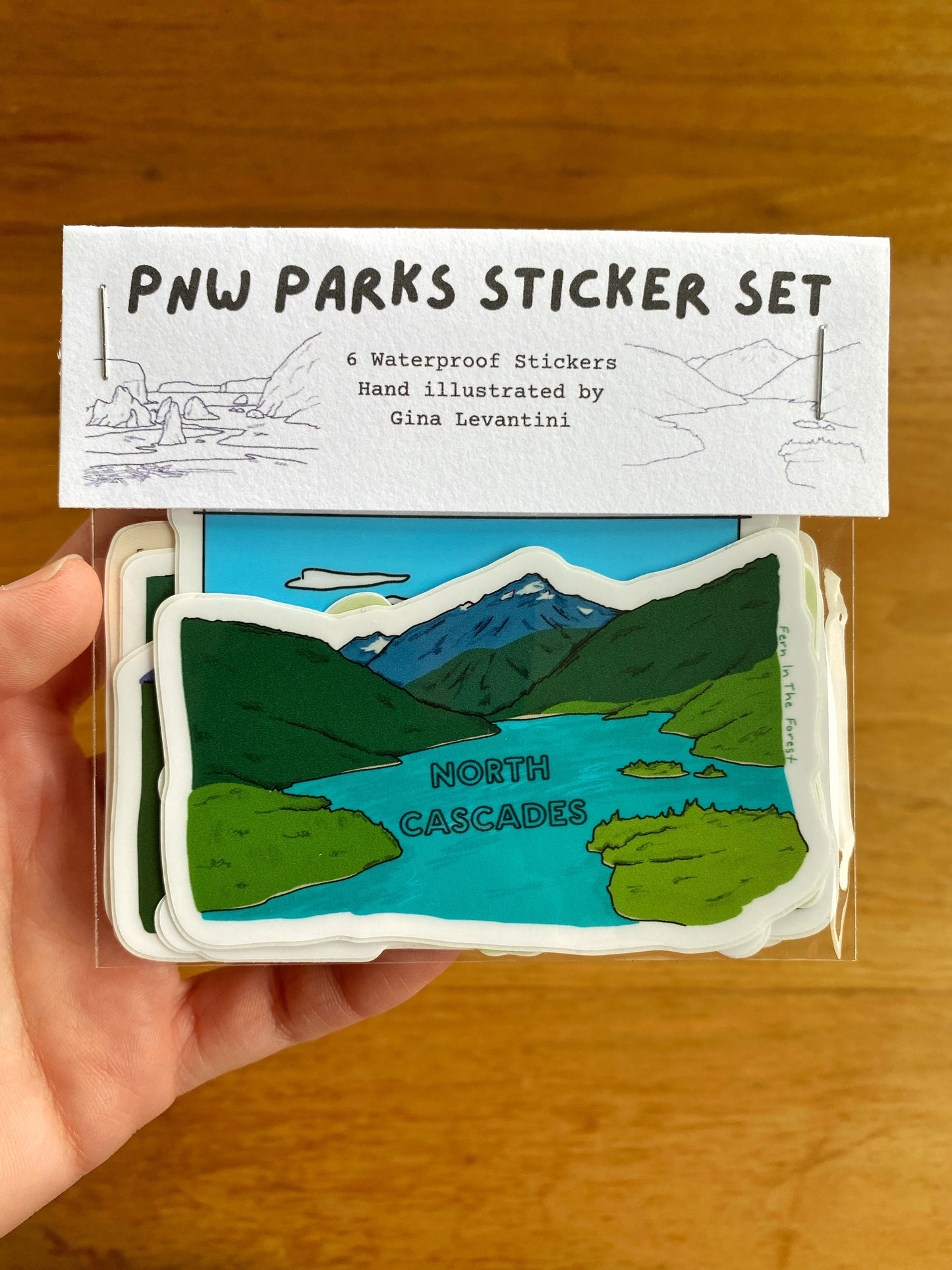 PNW National Park Sticker Bundle- Illustrated Sticker Set