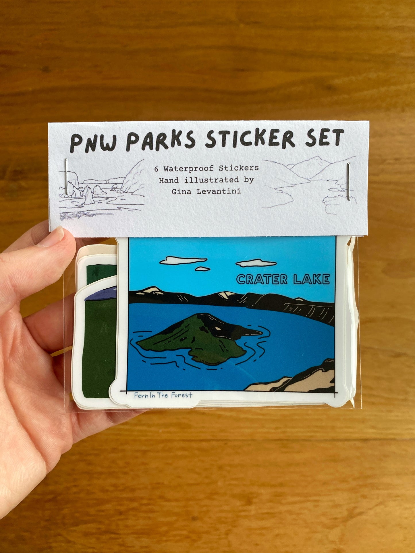 PNW National Park Sticker Bundle- Illustrated Sticker Set