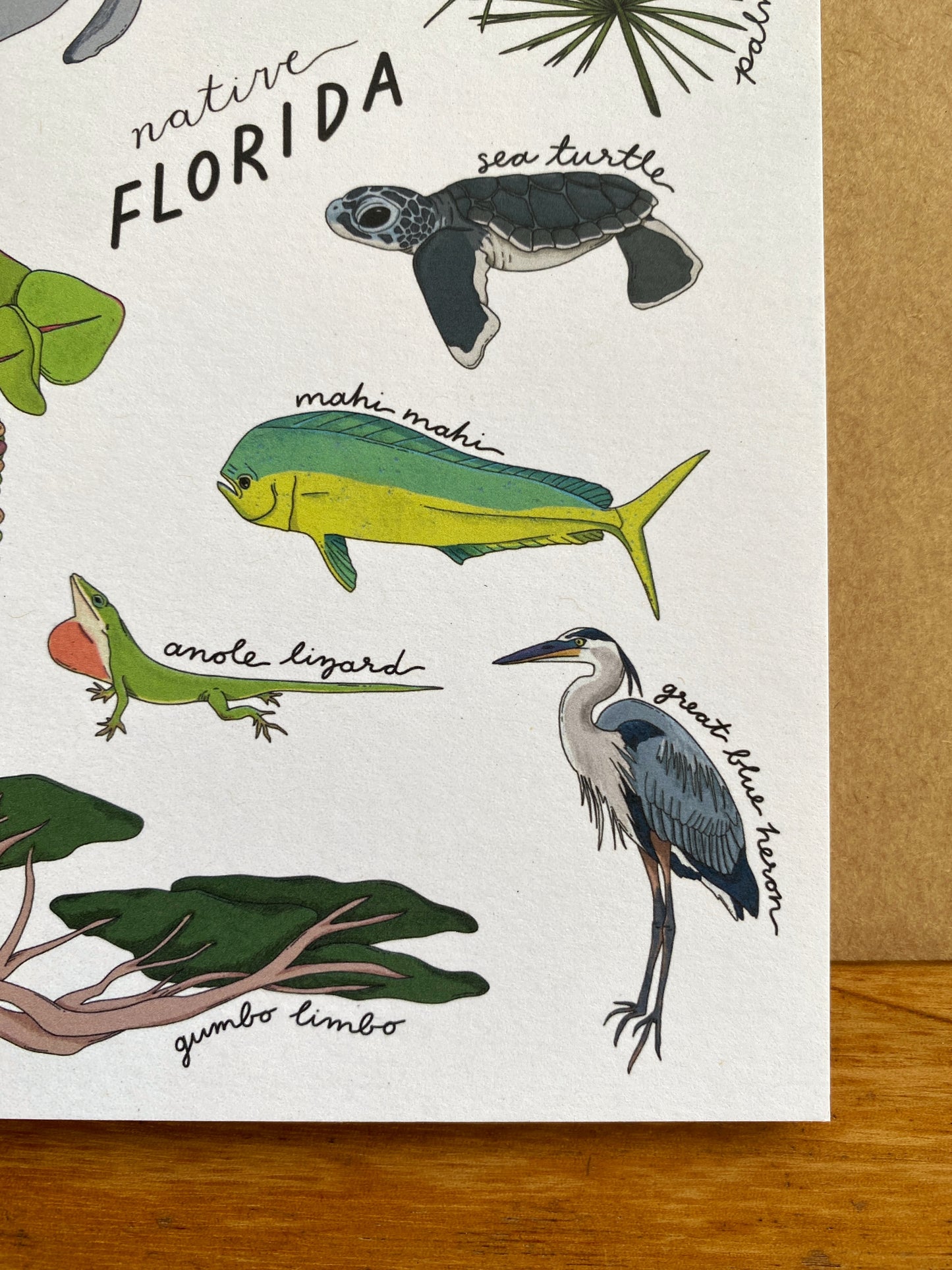 Native Florida Greeting Card
