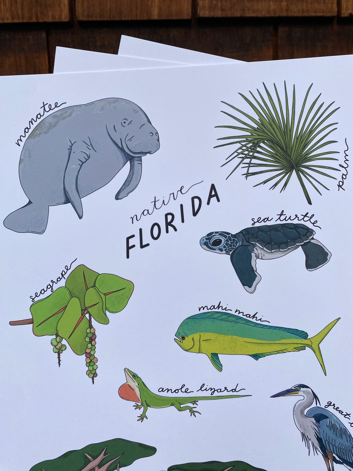 Native Florida State Art Print | 8" x 10"