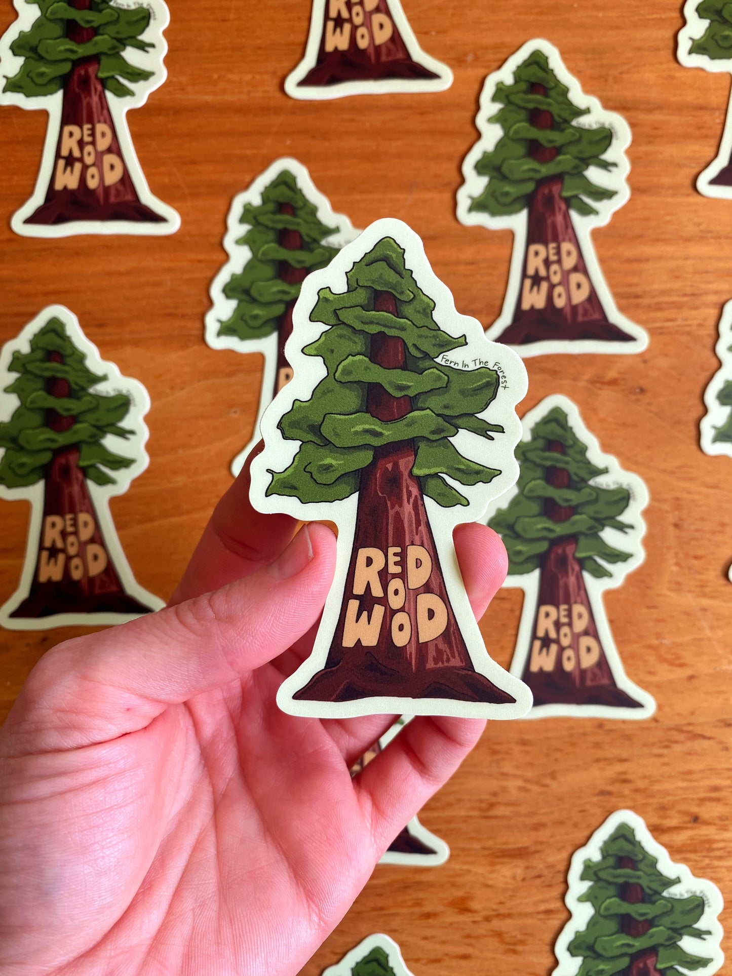 Redwood National Park Illustrated Sticker | 3.5” x 2”