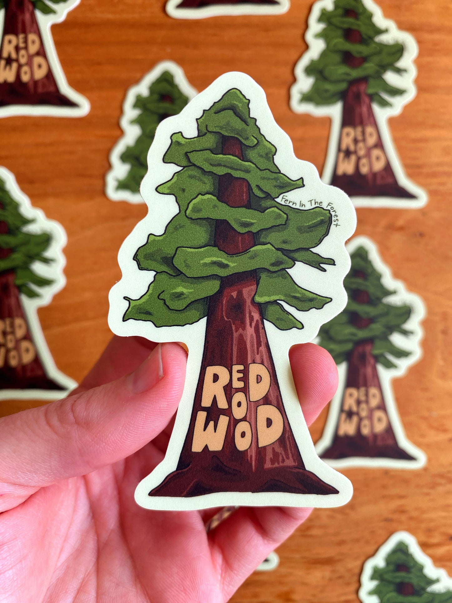 Redwood National Park Illustrated Sticker | 3.5” x 2”