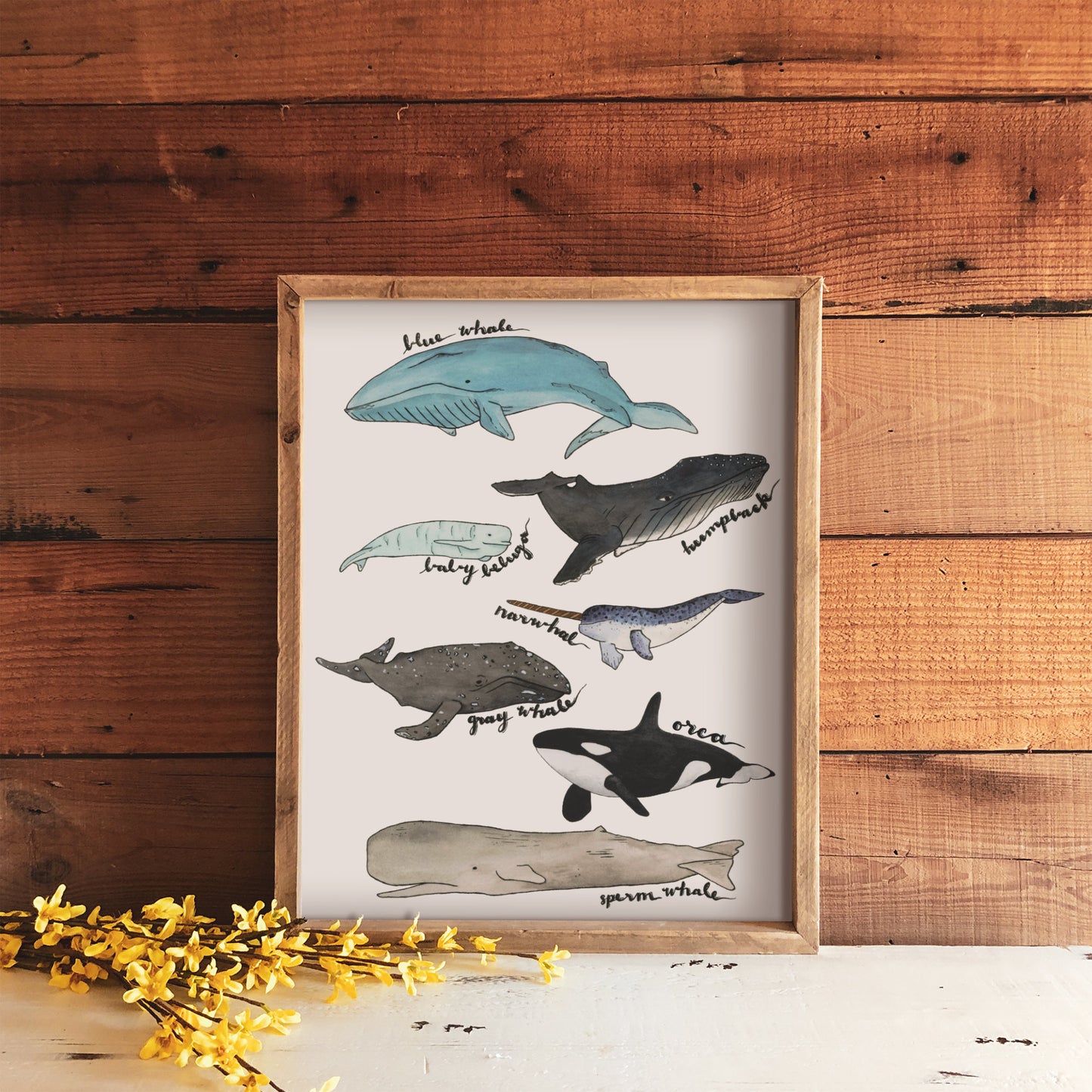 Whale Watercolor Art Print | 8" x 10"