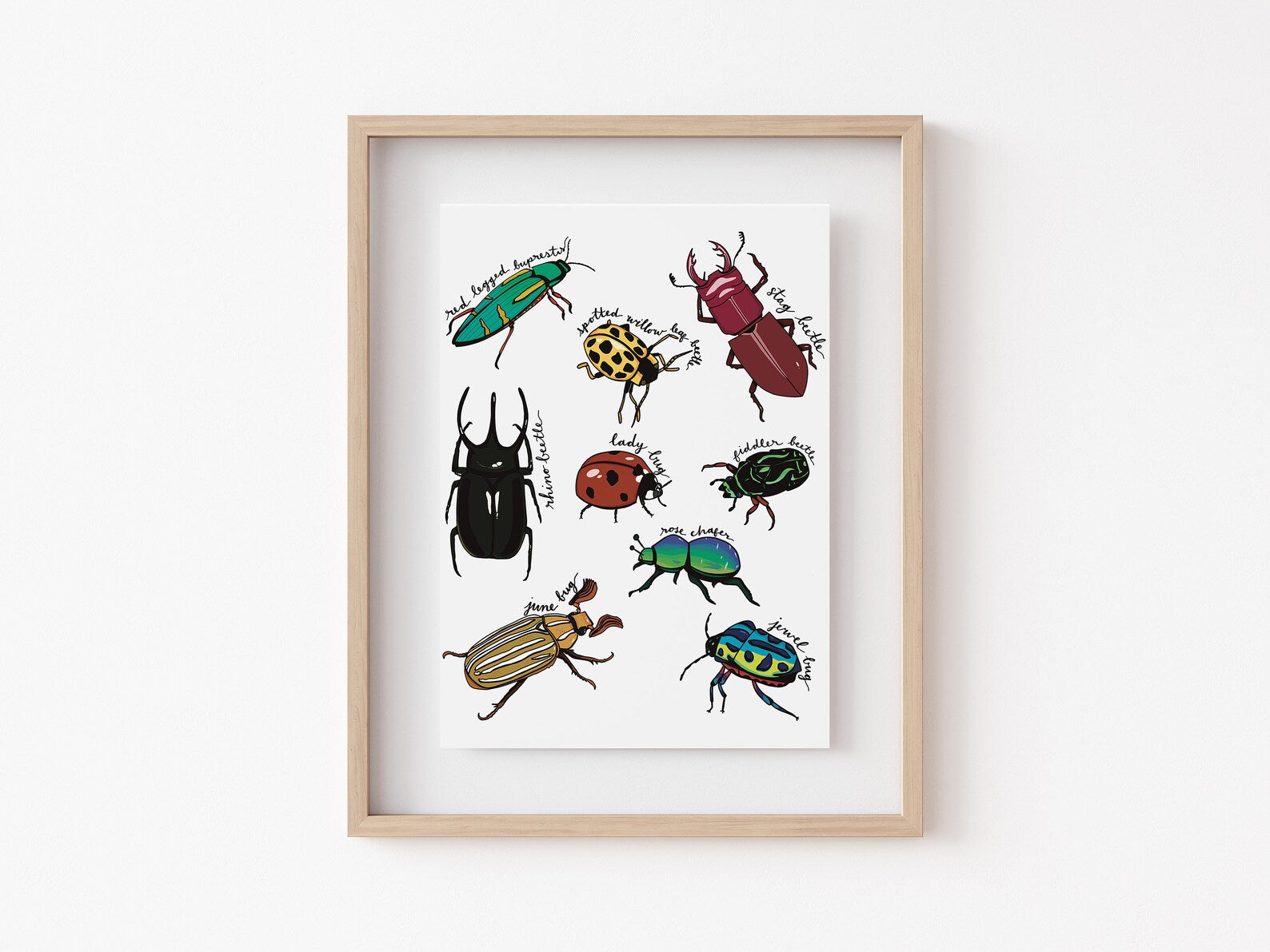 8" x 10" art print of beetles