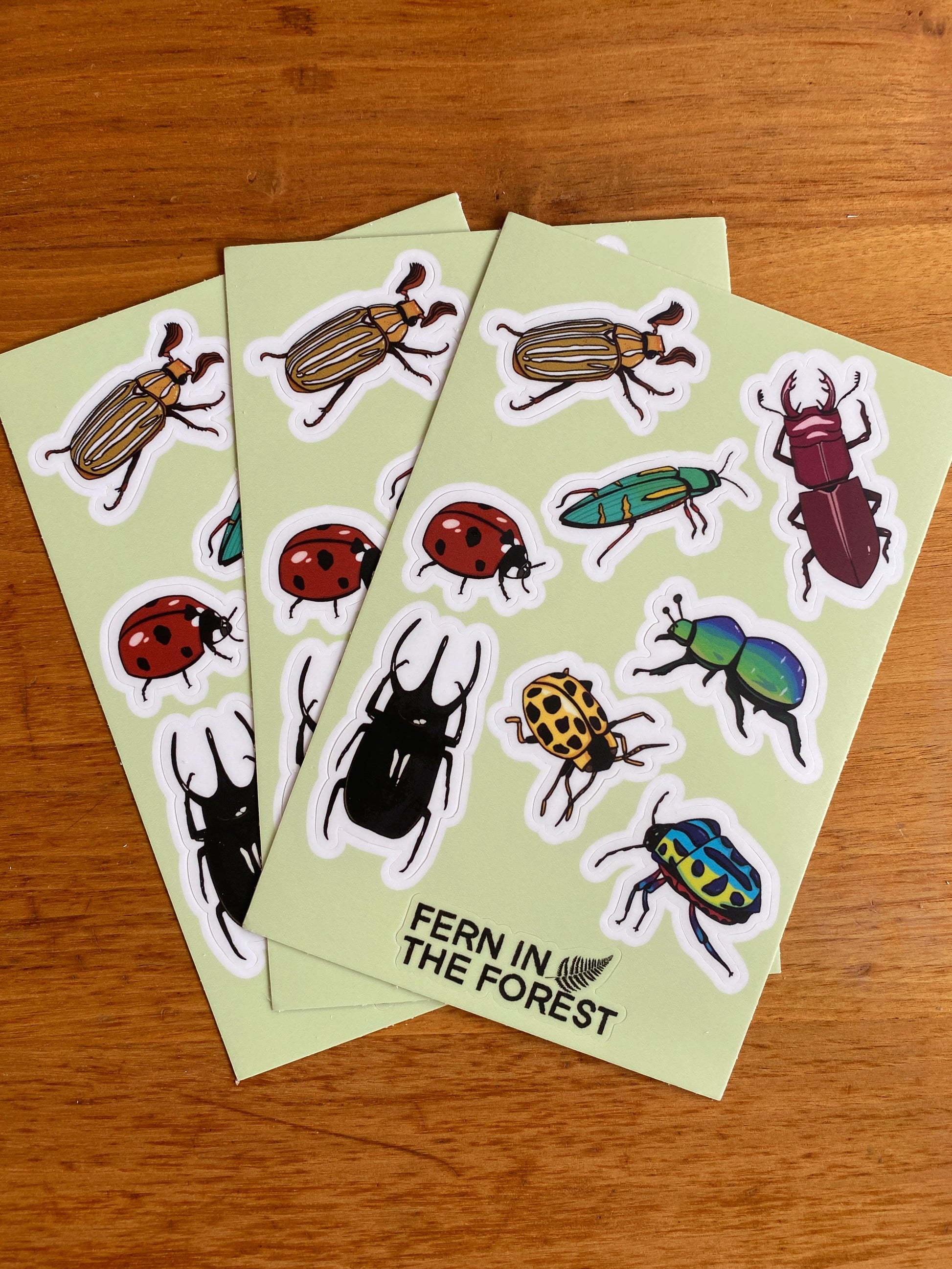 Waterproof 4" x 6" beetle sticker sheet.