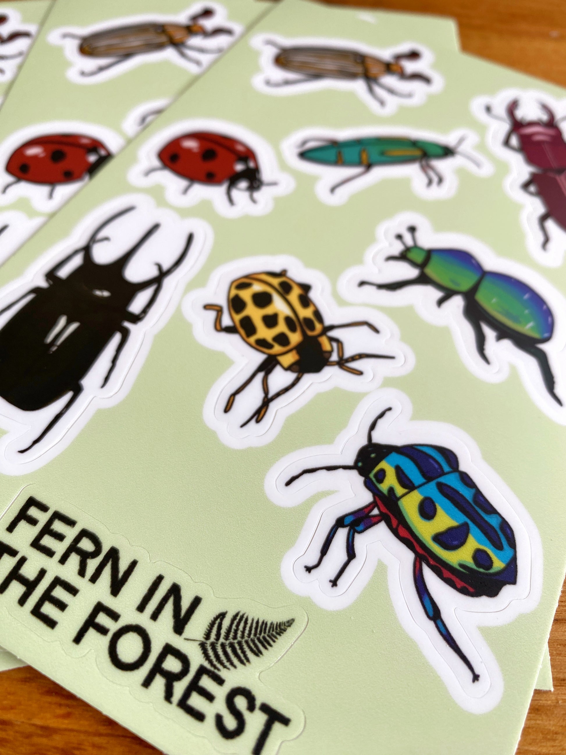 Waterproof 4" x 6" beetle sticker sheet.