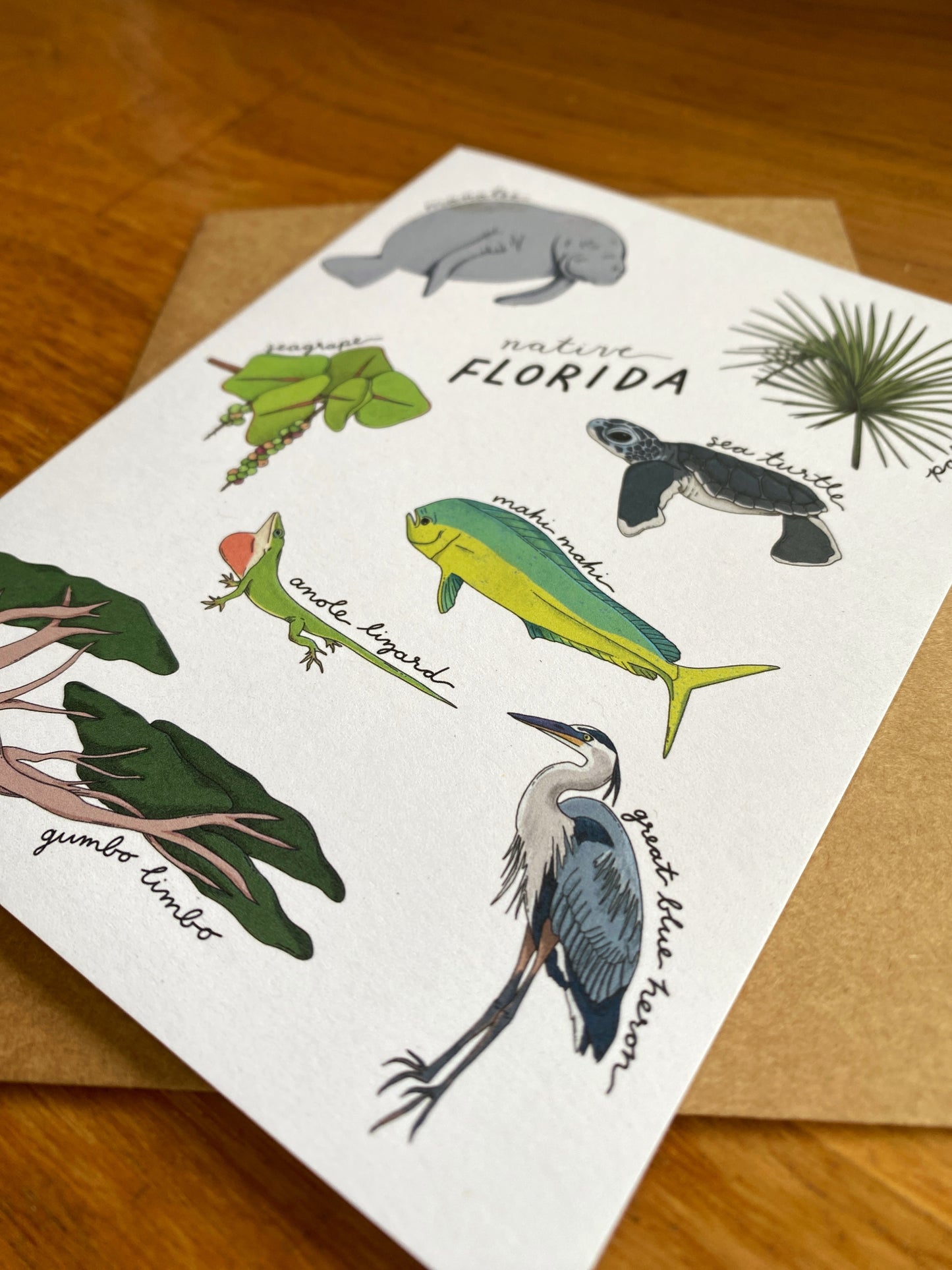 Native Florida Greeting Card