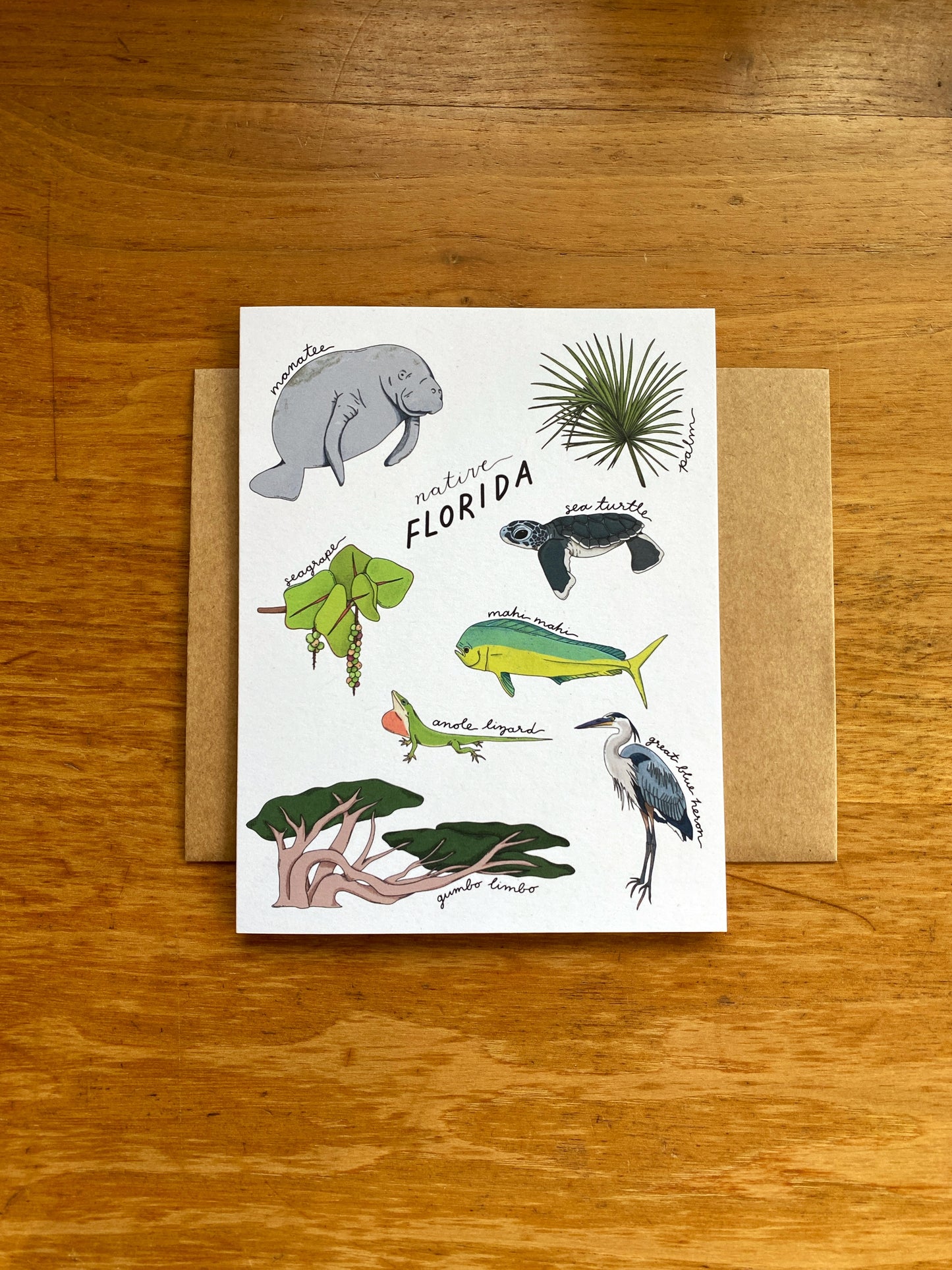 Native Florida Greeting Card