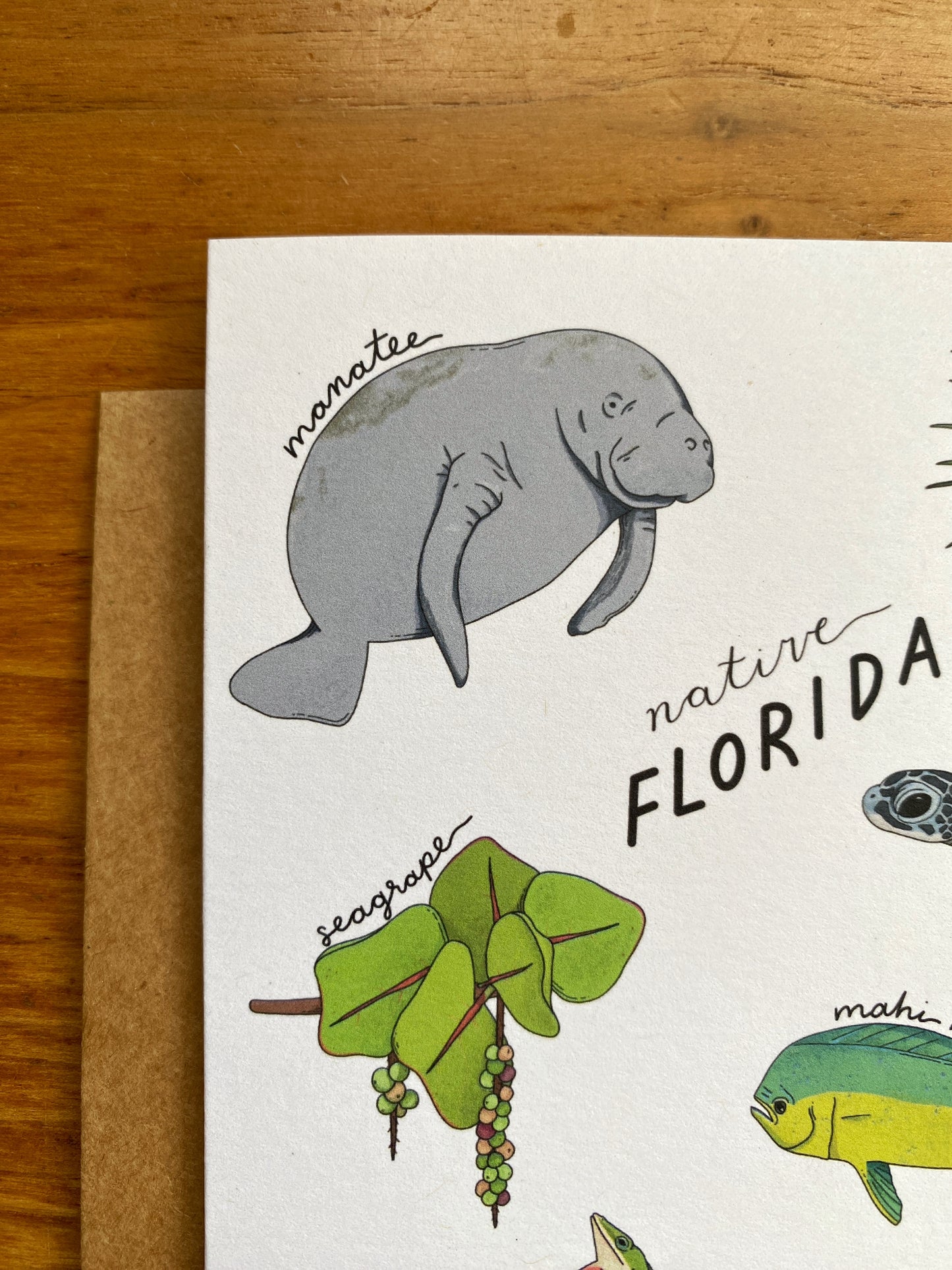 Native Florida Greeting Card