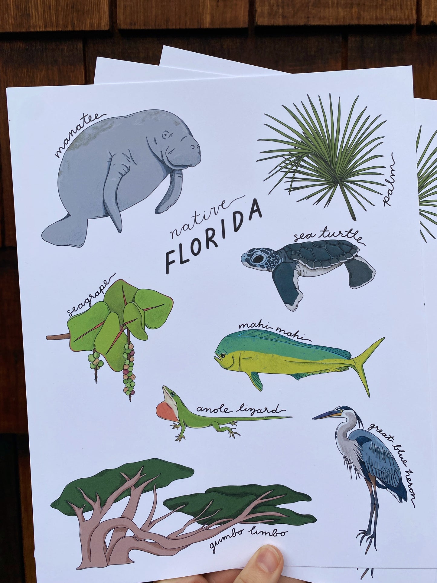 Native Florida State Art Print | 8" x 10"