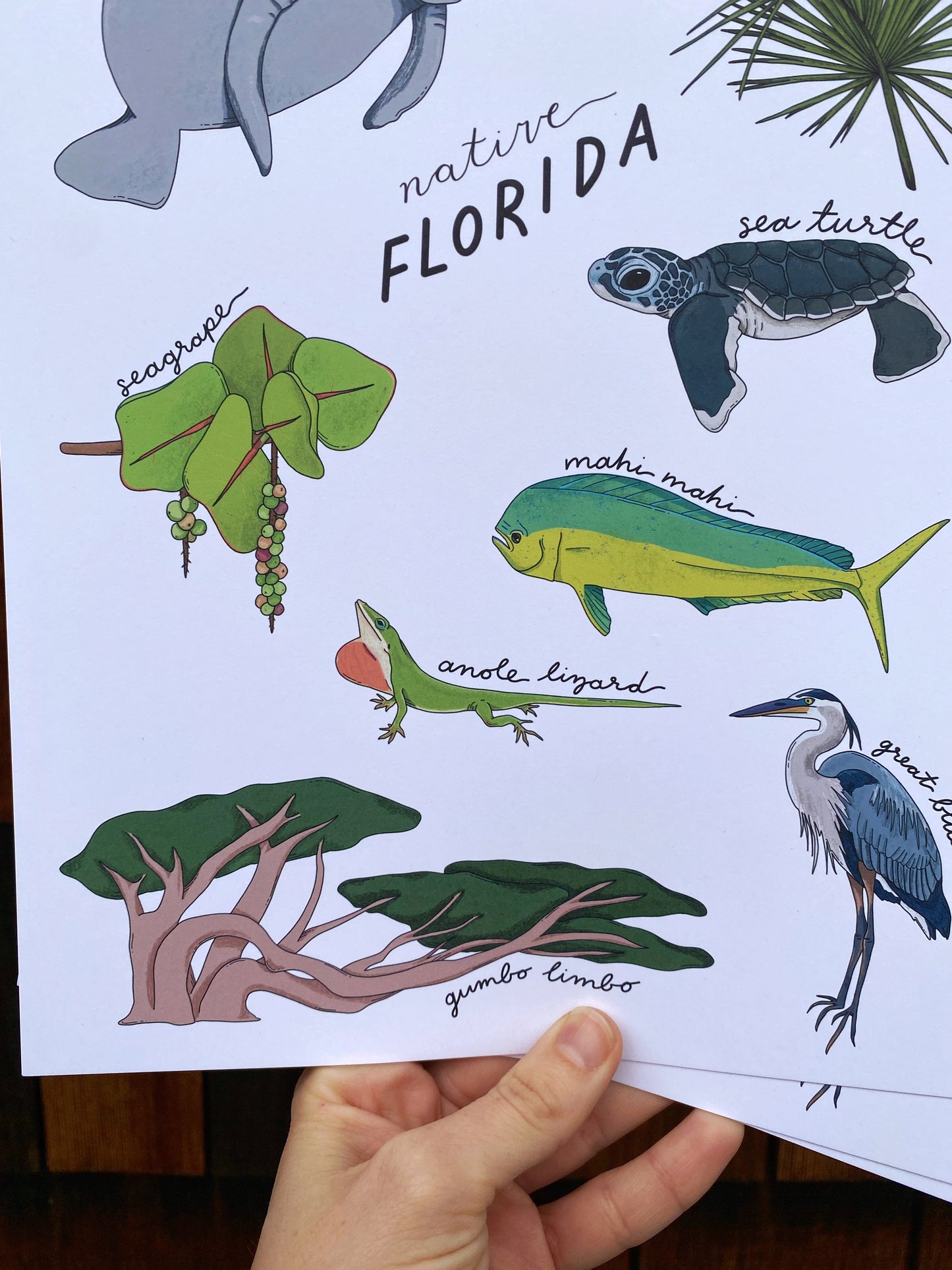 Native Florida State Art Print | 8" x 10"