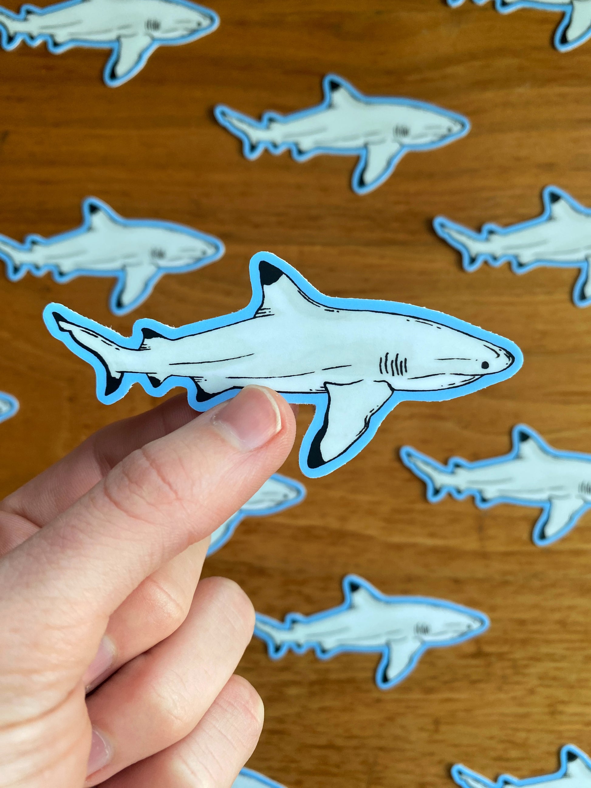 Waterproof sticker of a watercolor blacktip reef shark.