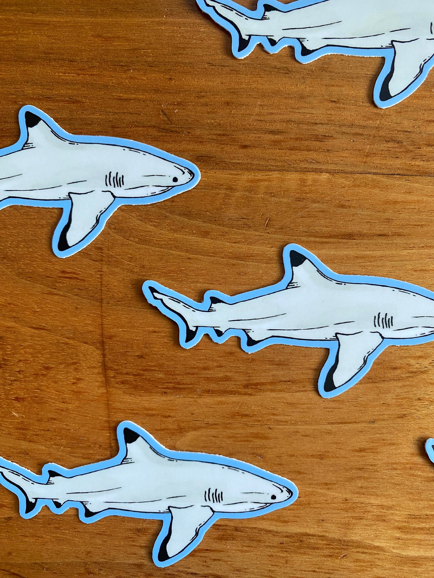 Waterproof sticker of a watercolor blacktip reef shark.