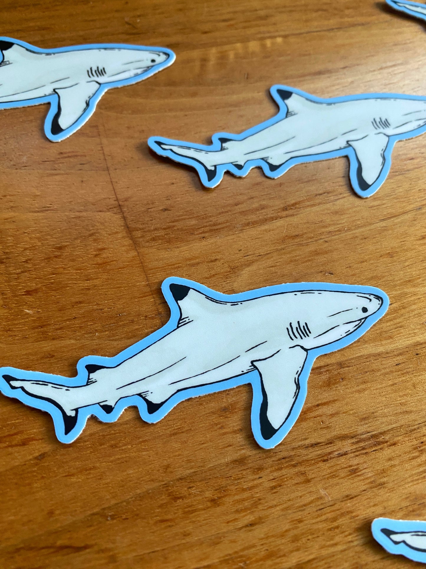 Waterproof sticker of a watercolor blacktip reef shark.