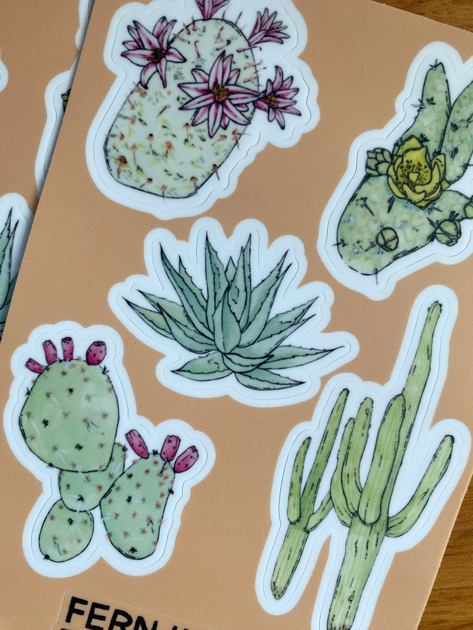 4" x 6" watercolor cactus sticker sheet.