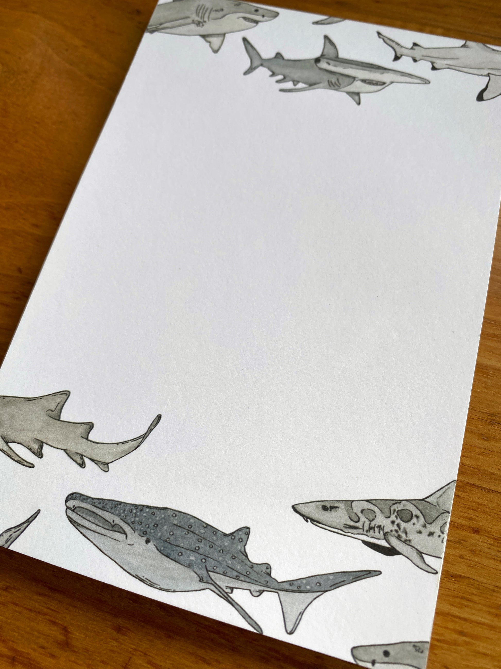 4" x 6" blank notepad with watercolor sharks