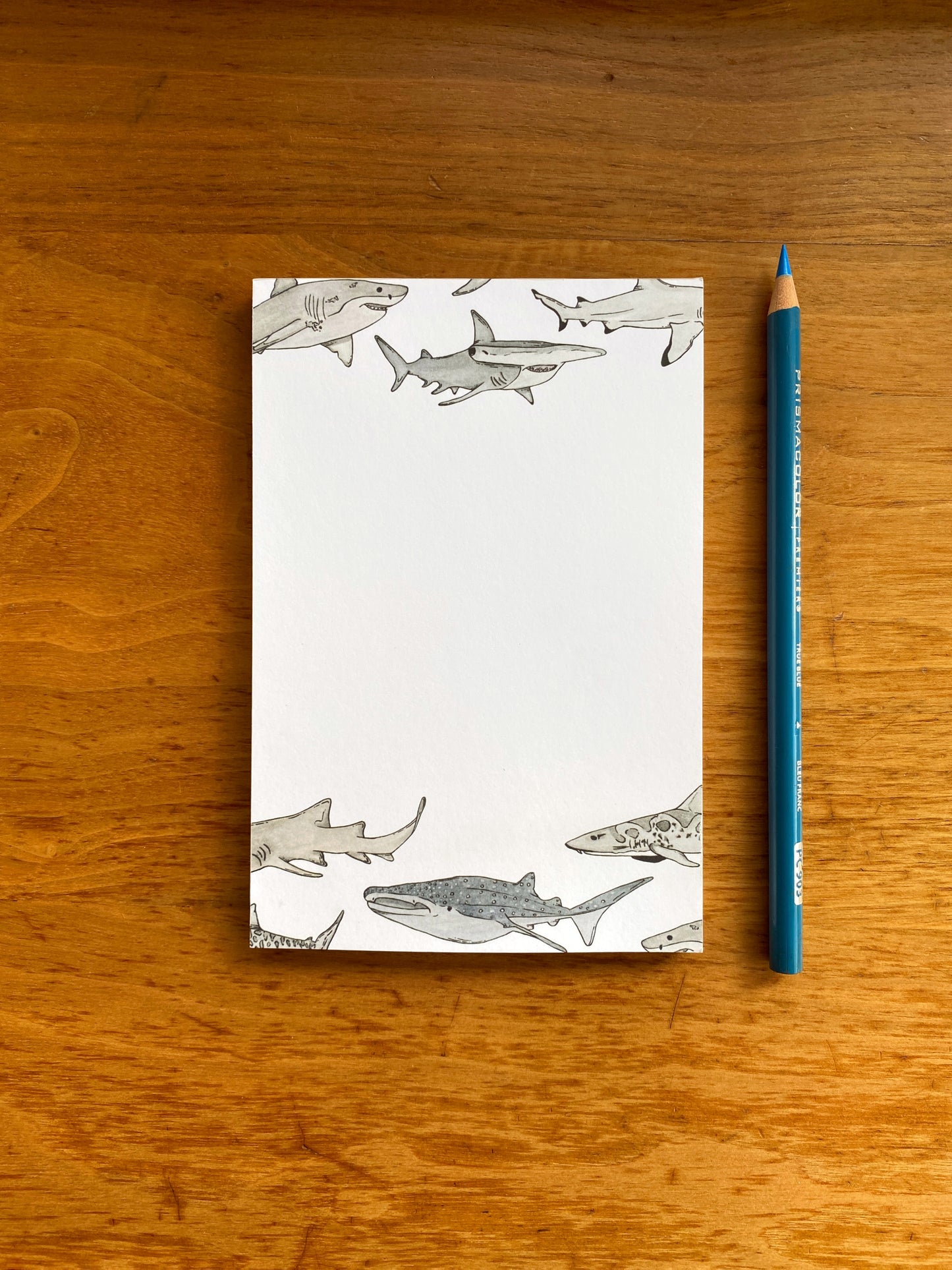 4" x 6" blank notepad with watercolor sharks