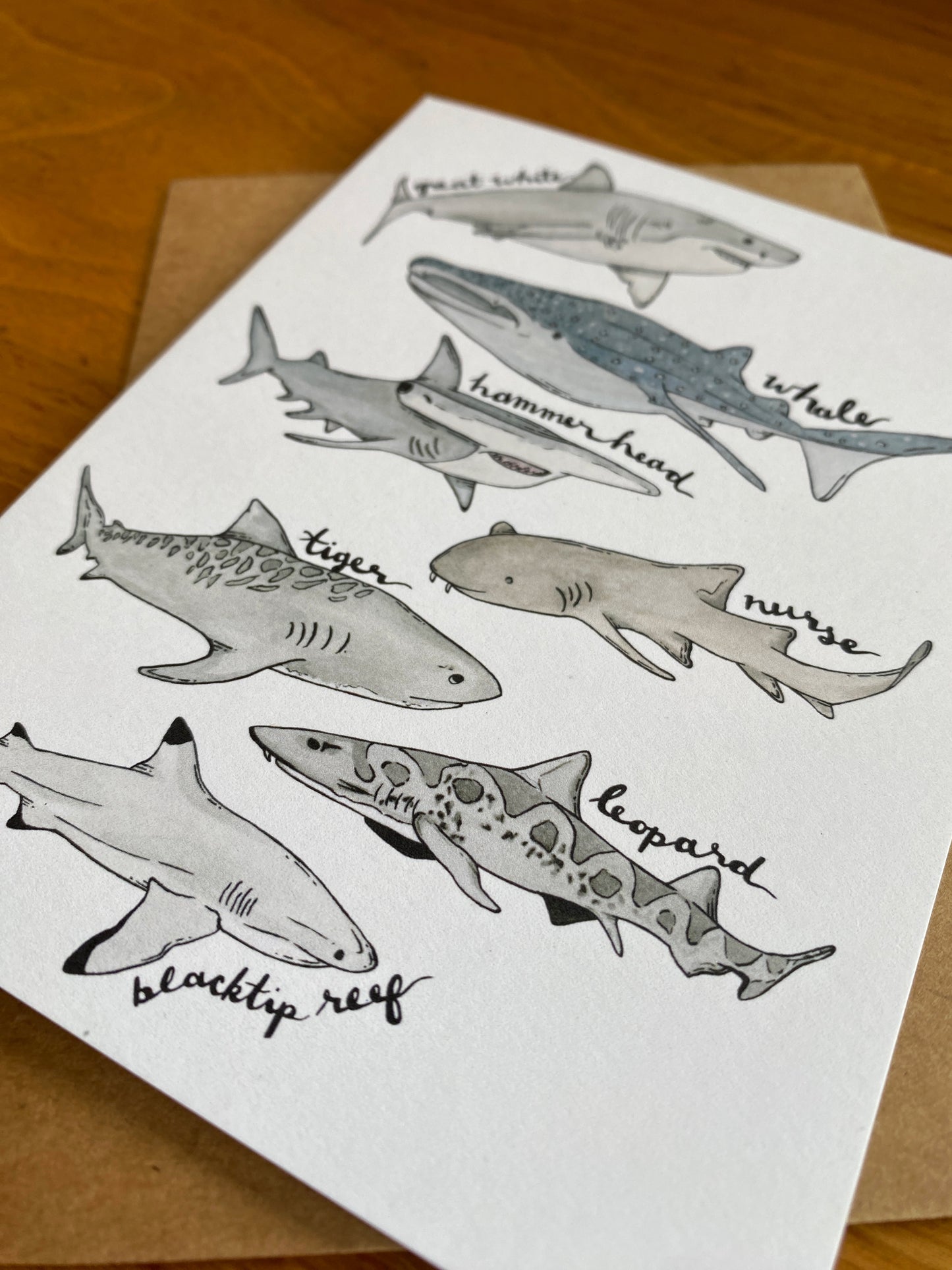 watercolor shark greeting card