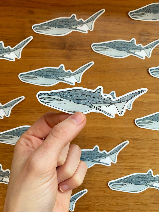 watercolor whale shark waterproof sticker