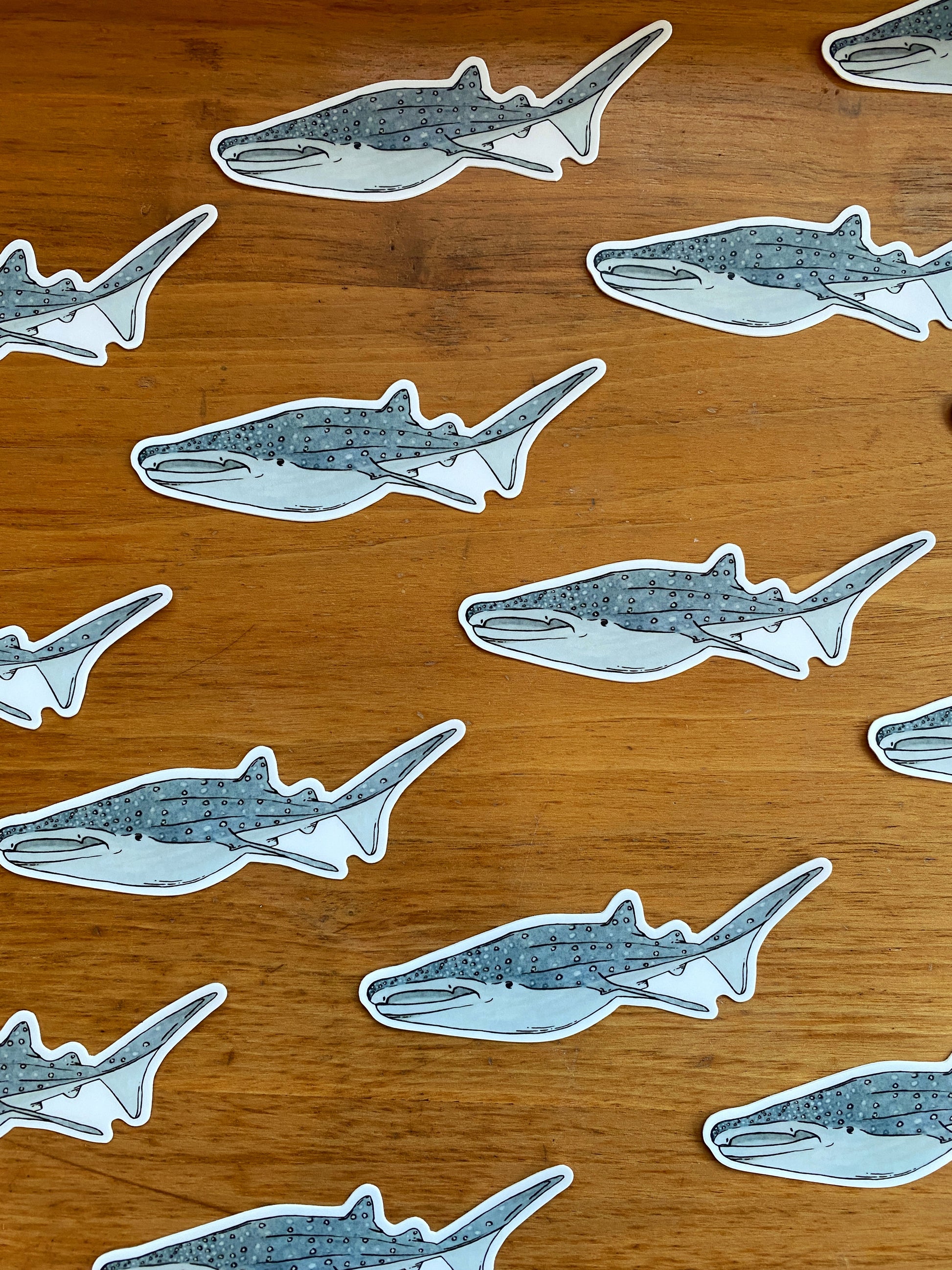 watercolor whale shark waterproof sticker