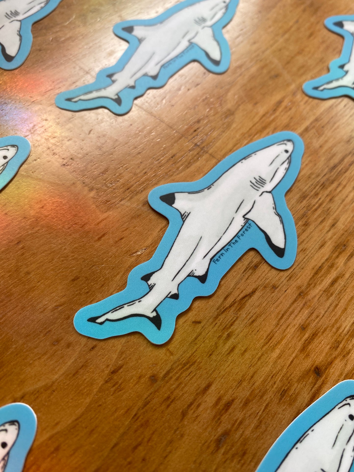 Blacktip Reef Shark Watercolor Sticker | 3.25" x 1.75"