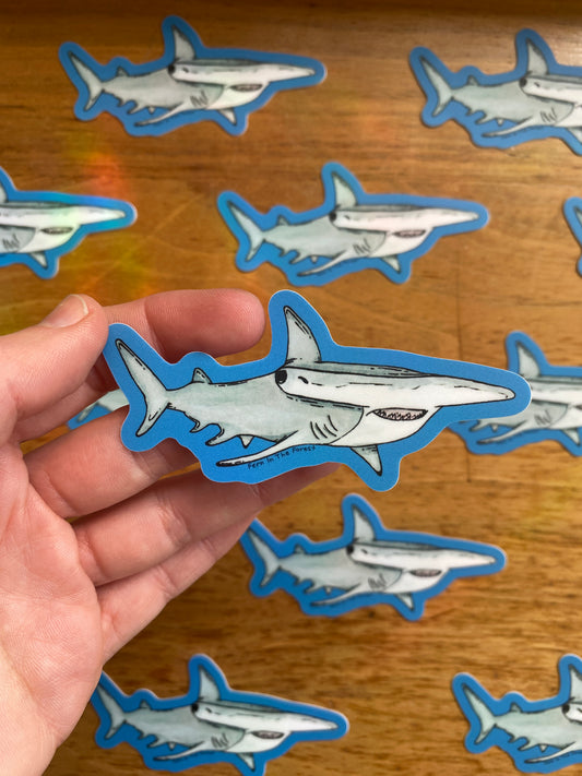Hammerhead Shark Watercolor Sticker | 3.3" x 1.75"