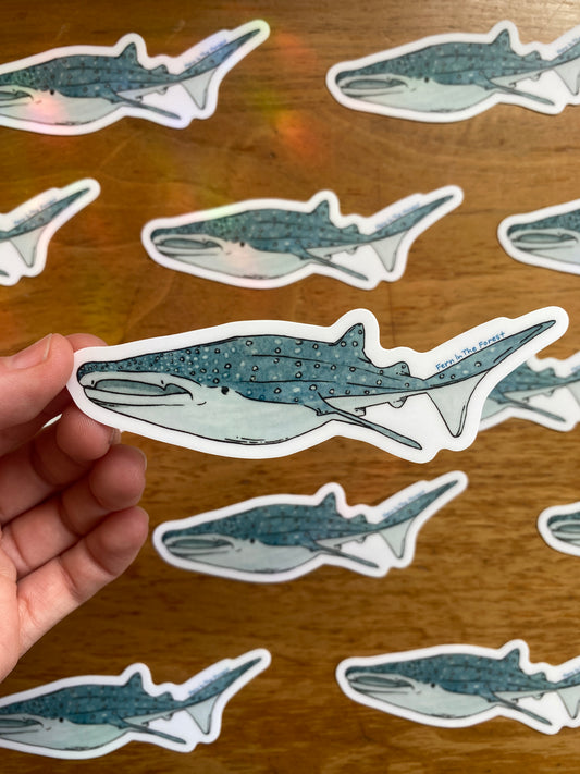 Whale Shark Watercolor Sticker | 4.25” x 1.4”