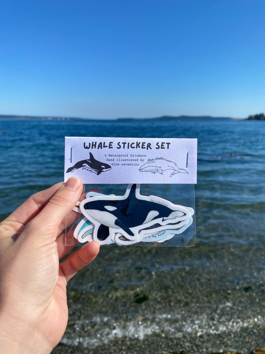 Whale Sticker Bundle- Illustrated Sticker Set