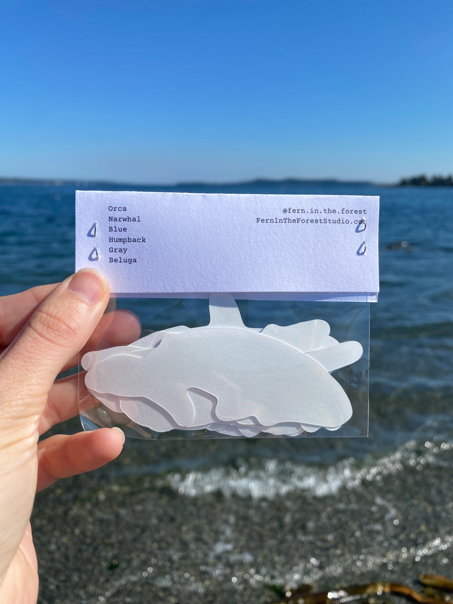 Whale Sticker Bundle- Illustrated Sticker Set