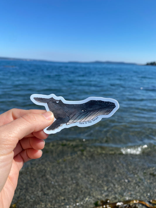 Humpback Whale Watercolor Sticker | 3.76" x 1.75"