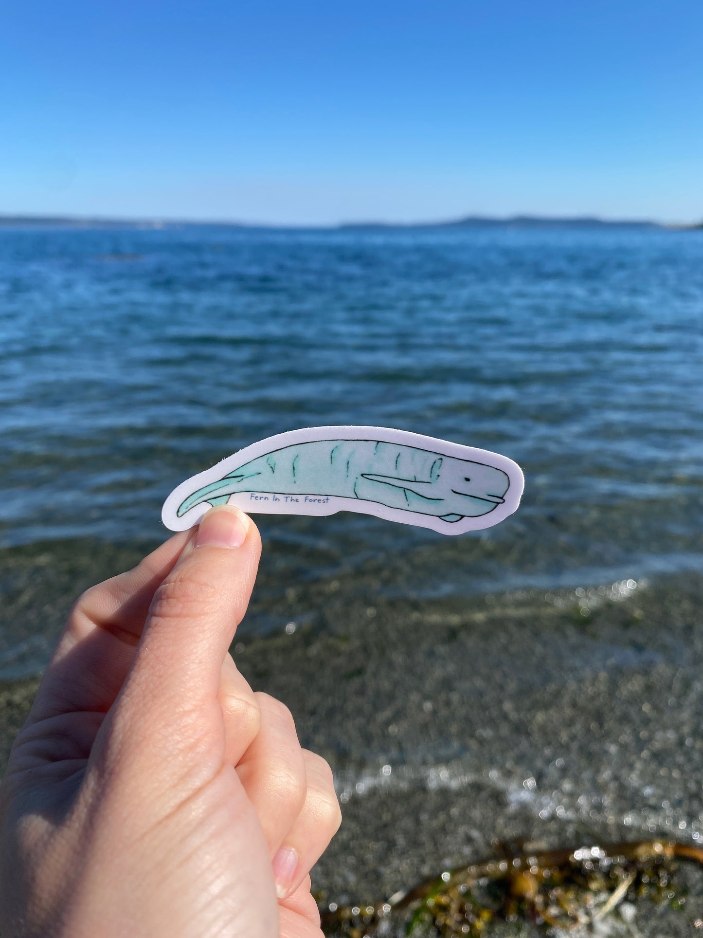 Beluga Whale Watercolor Sticker | 3.25" x 1.1"