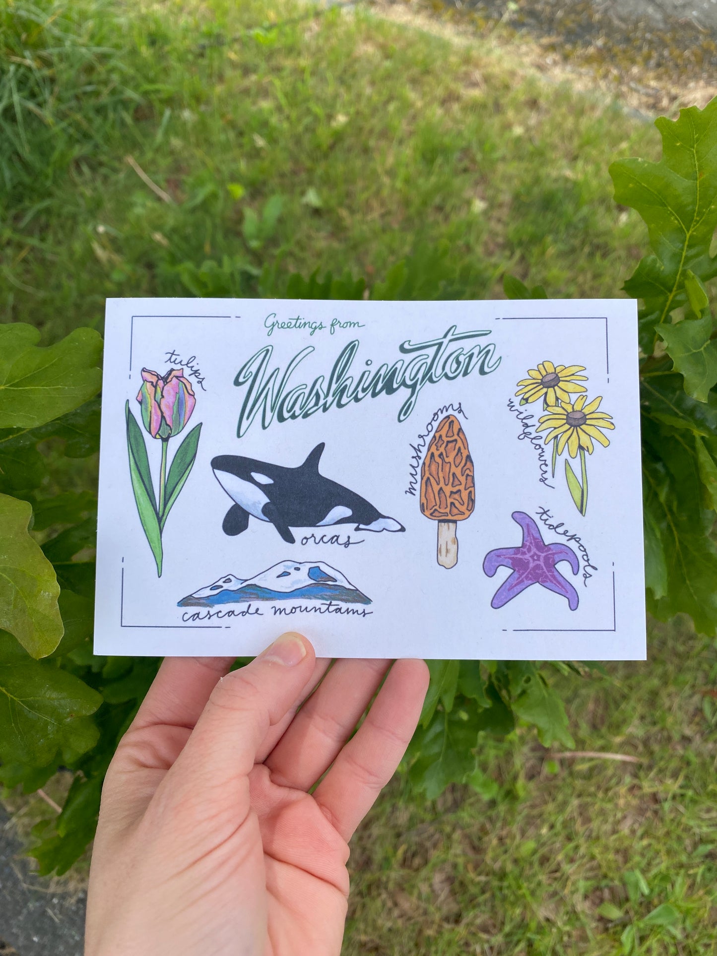 Washington State Post Card | 4" x 6"