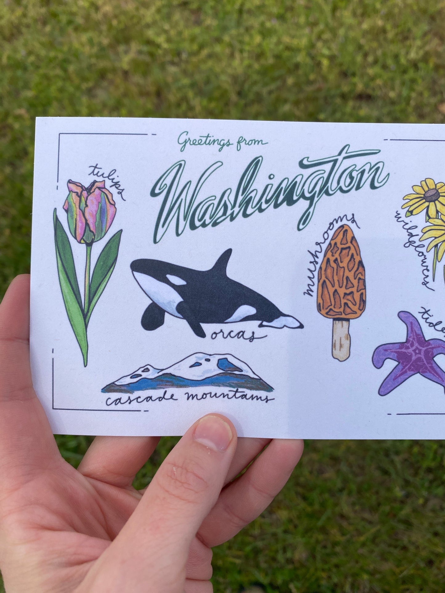 Washington State Post Card | 4" x 6"