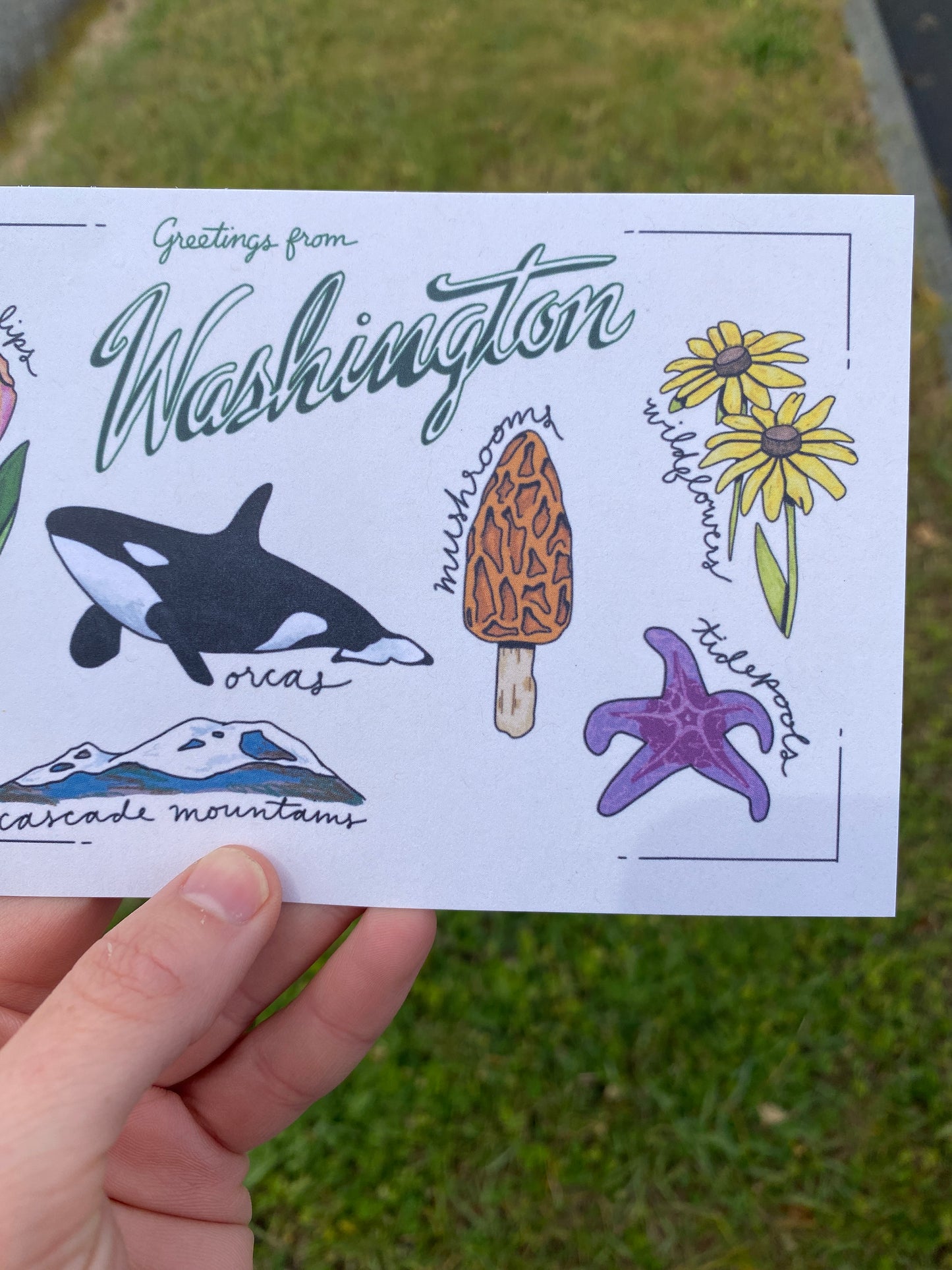 Washington State Post Card | 4" x 6"