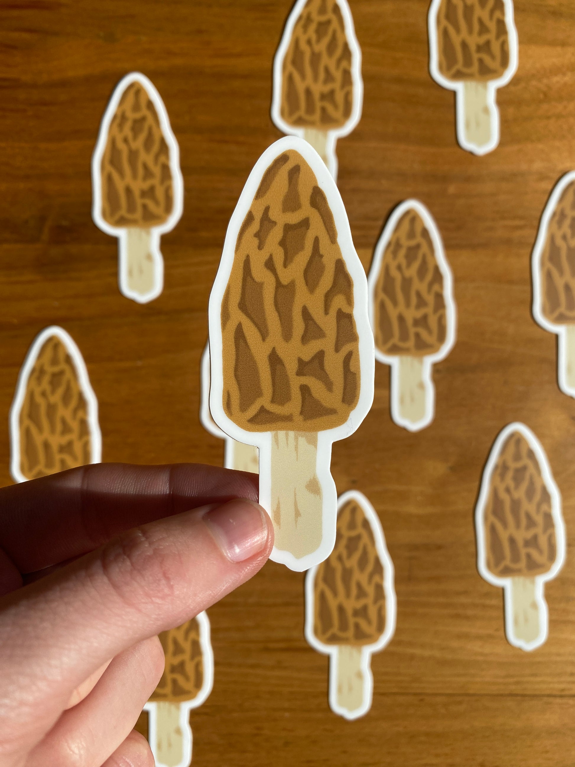 waterproof morel mushroom sticker