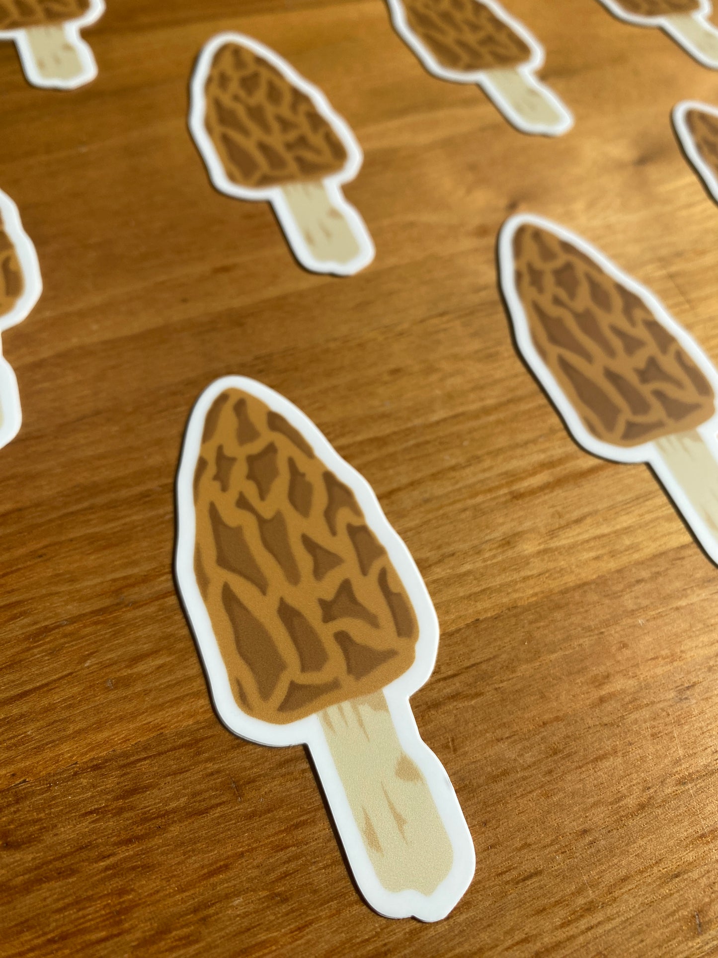 waterproof morel mushroom sticker