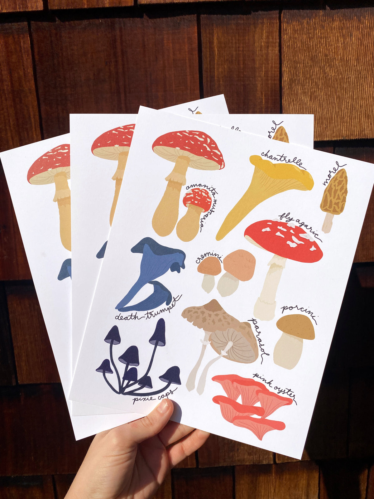 Forager Mushroom Art Print | 8" x 10"