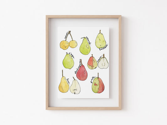 8" x 10" watercolor pear art print