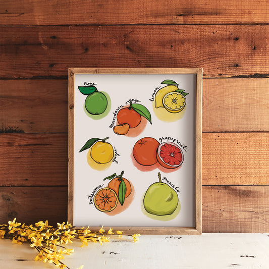 8" x 10" art print of different types of citrus