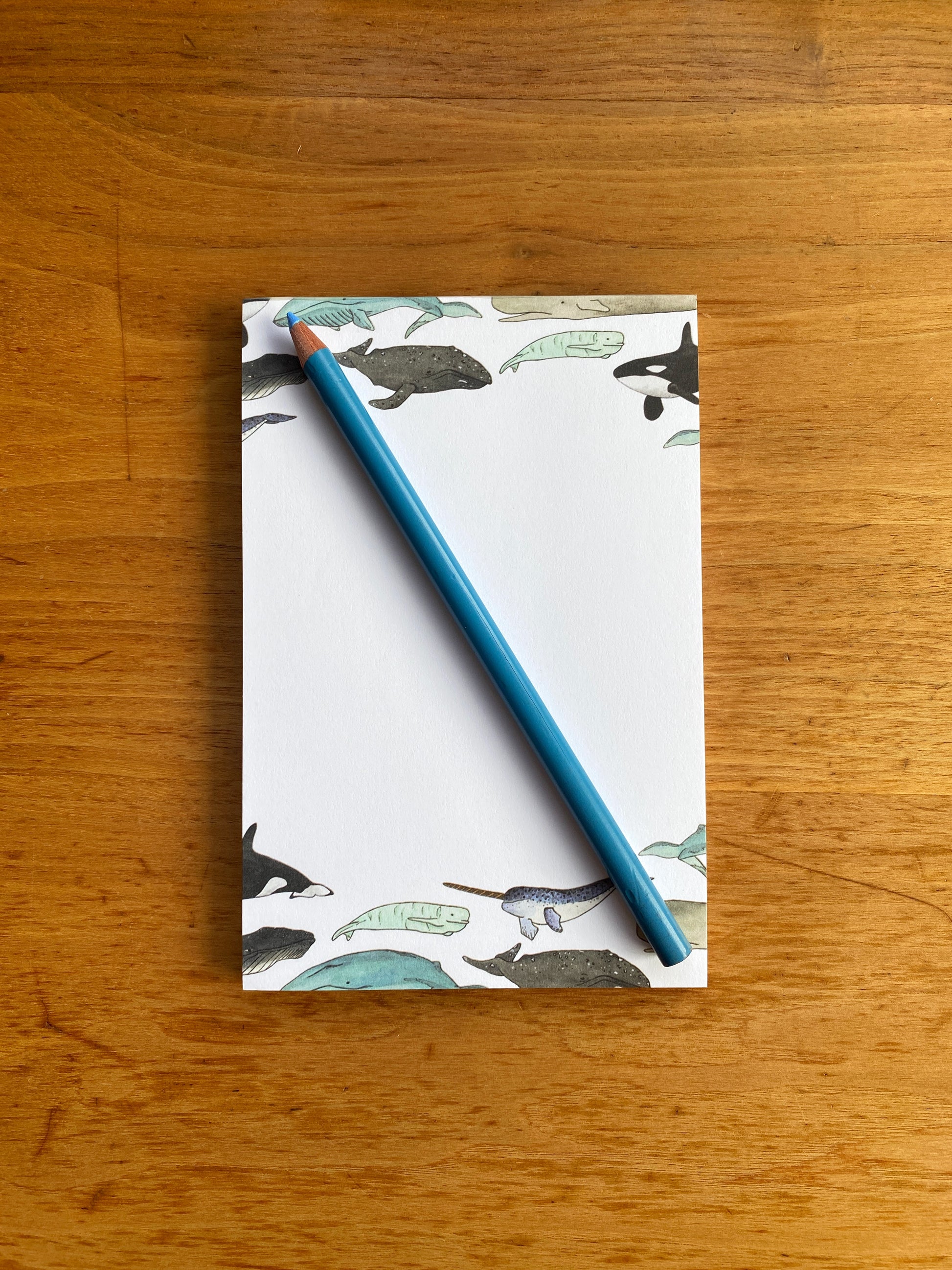 4" x 6" blank notepad with watercolor whales