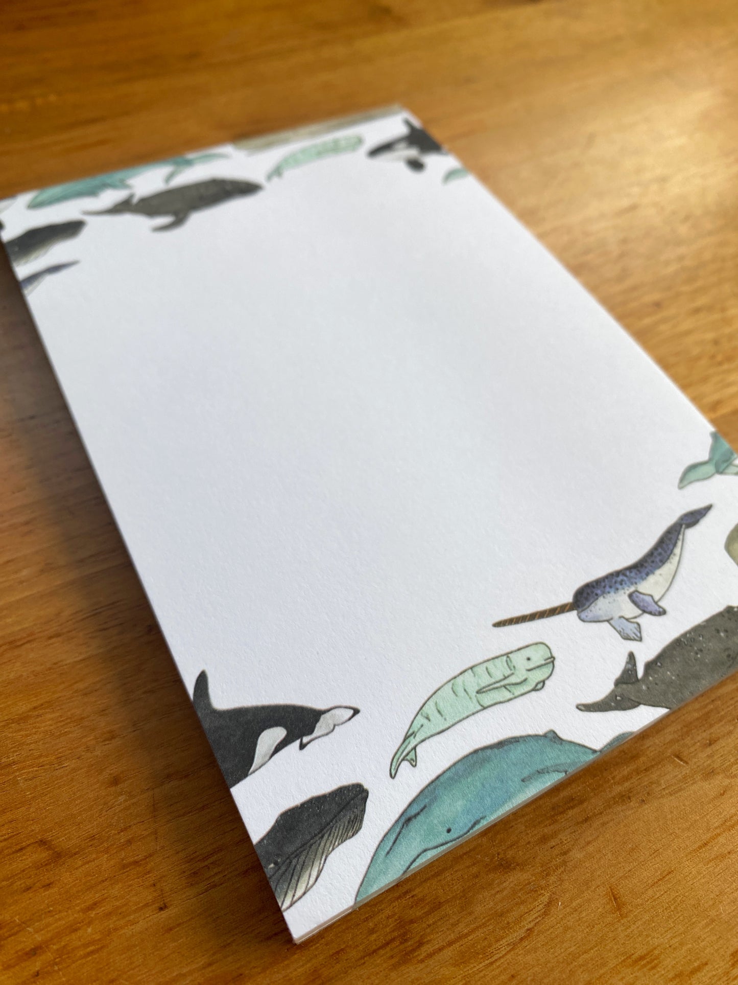 4" x 6" blank notepad with watercolor whales