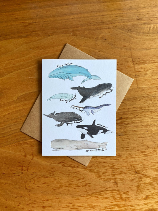 watercolor whale greeting card