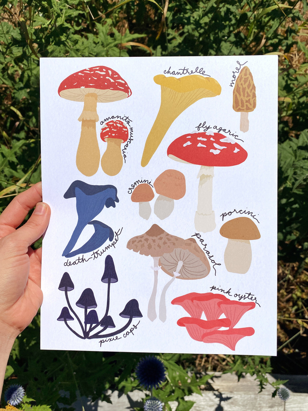 Forager Mushroom Art Print | 8" x 10"