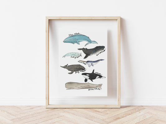 Whale Watercolor Art Print | 8" x 10"