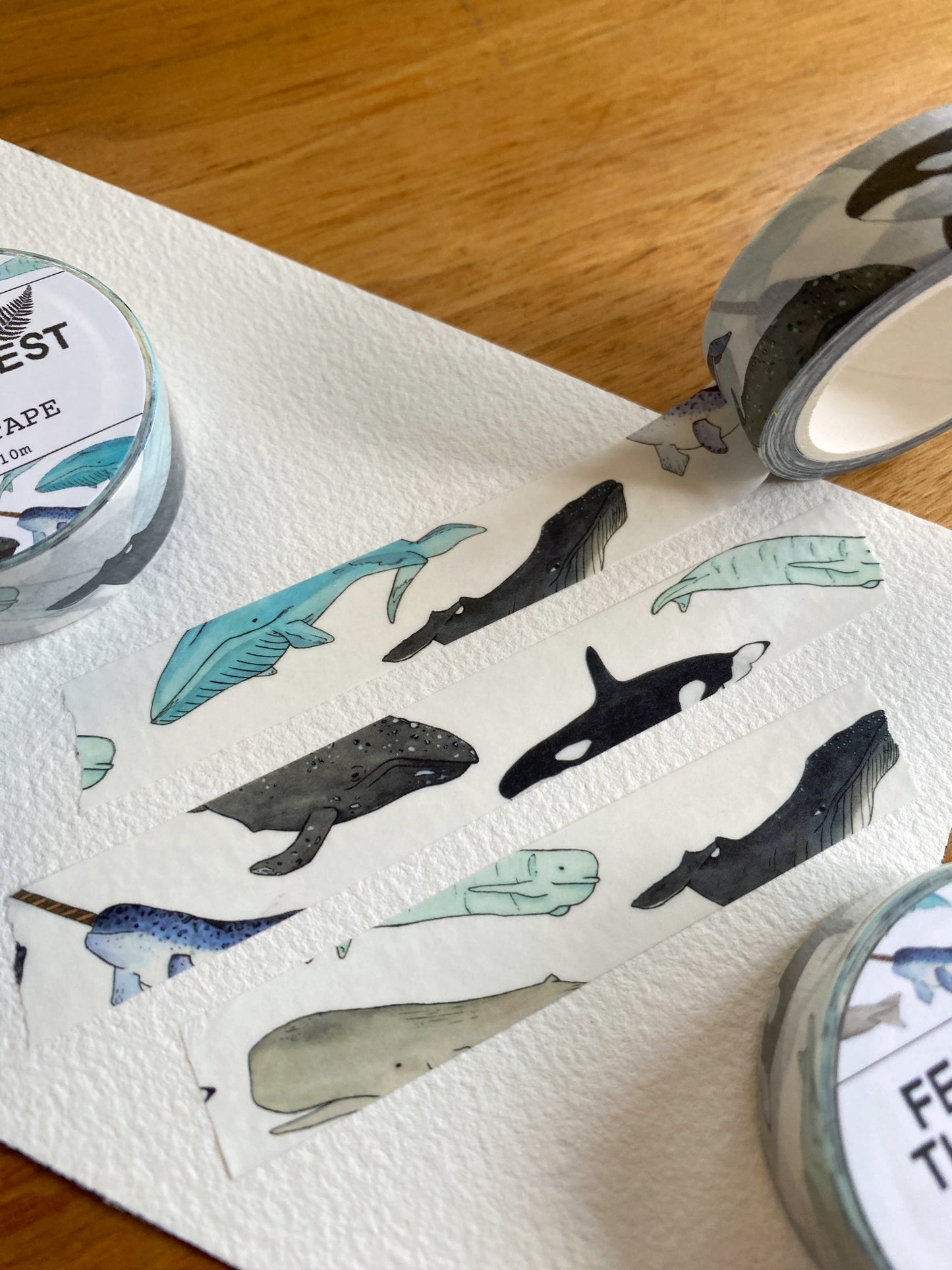 watercolor whale washi tape