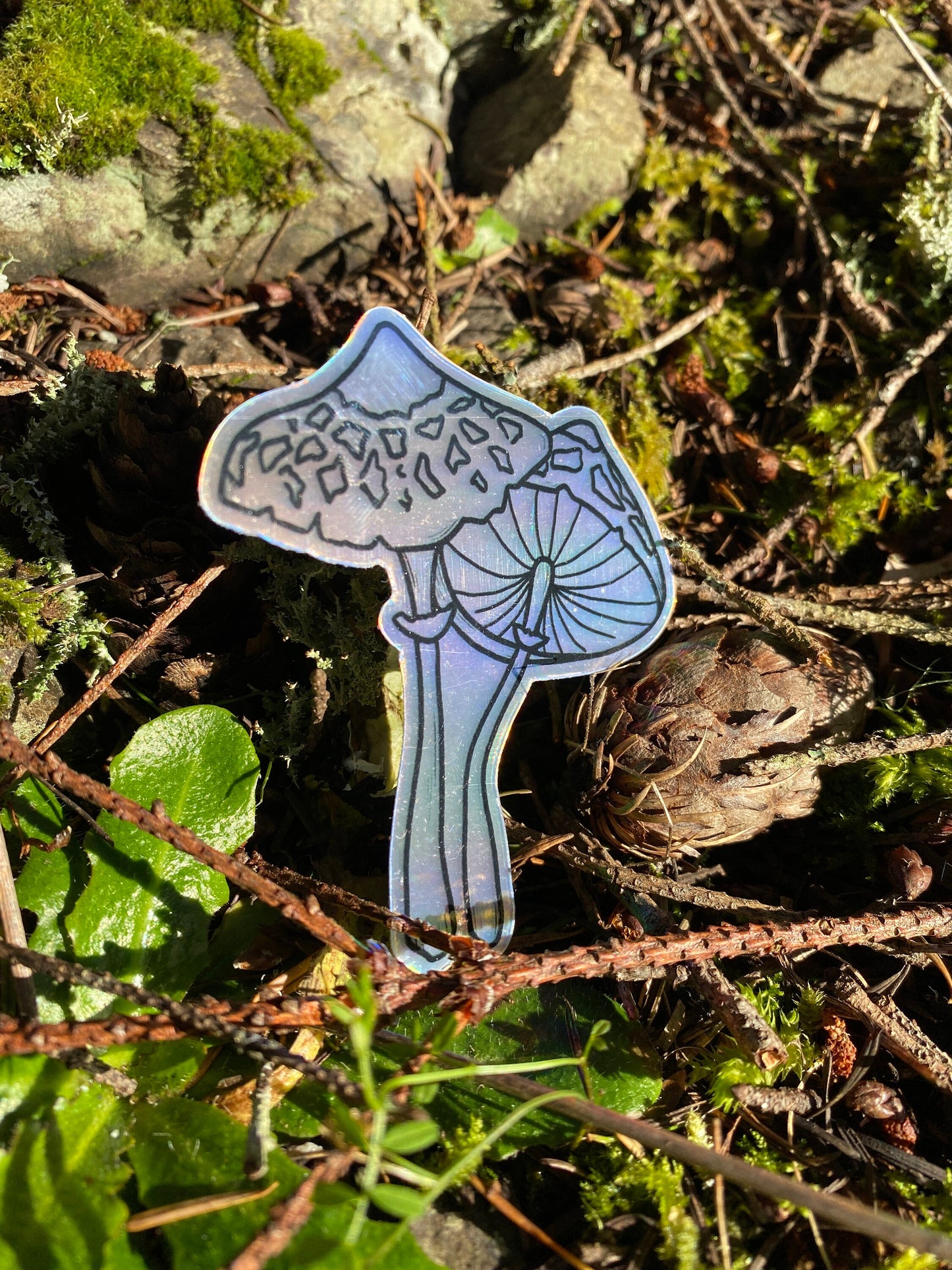 holographic parasol mushroom waterproof sticker