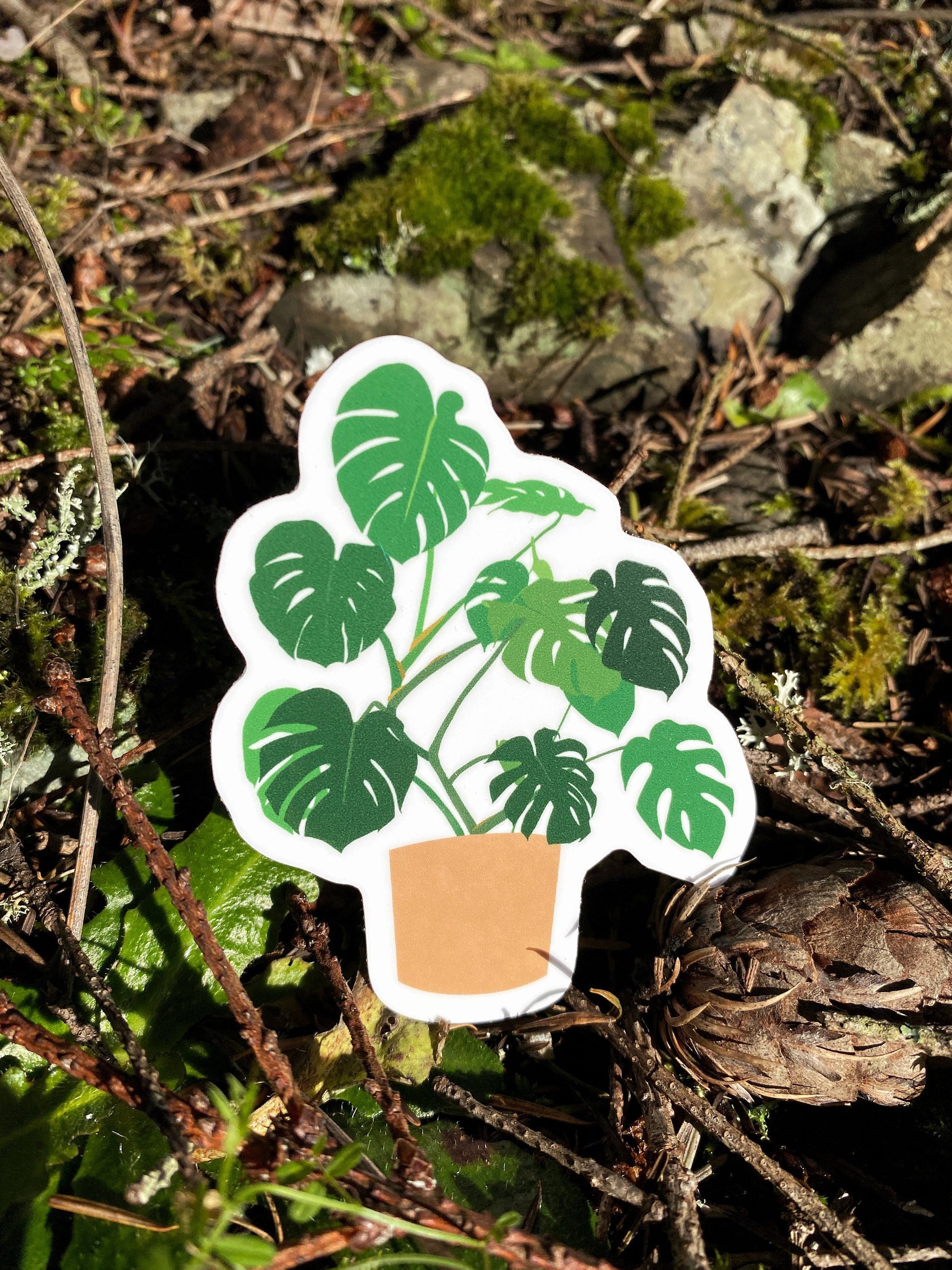 Waterproof monstera sticker