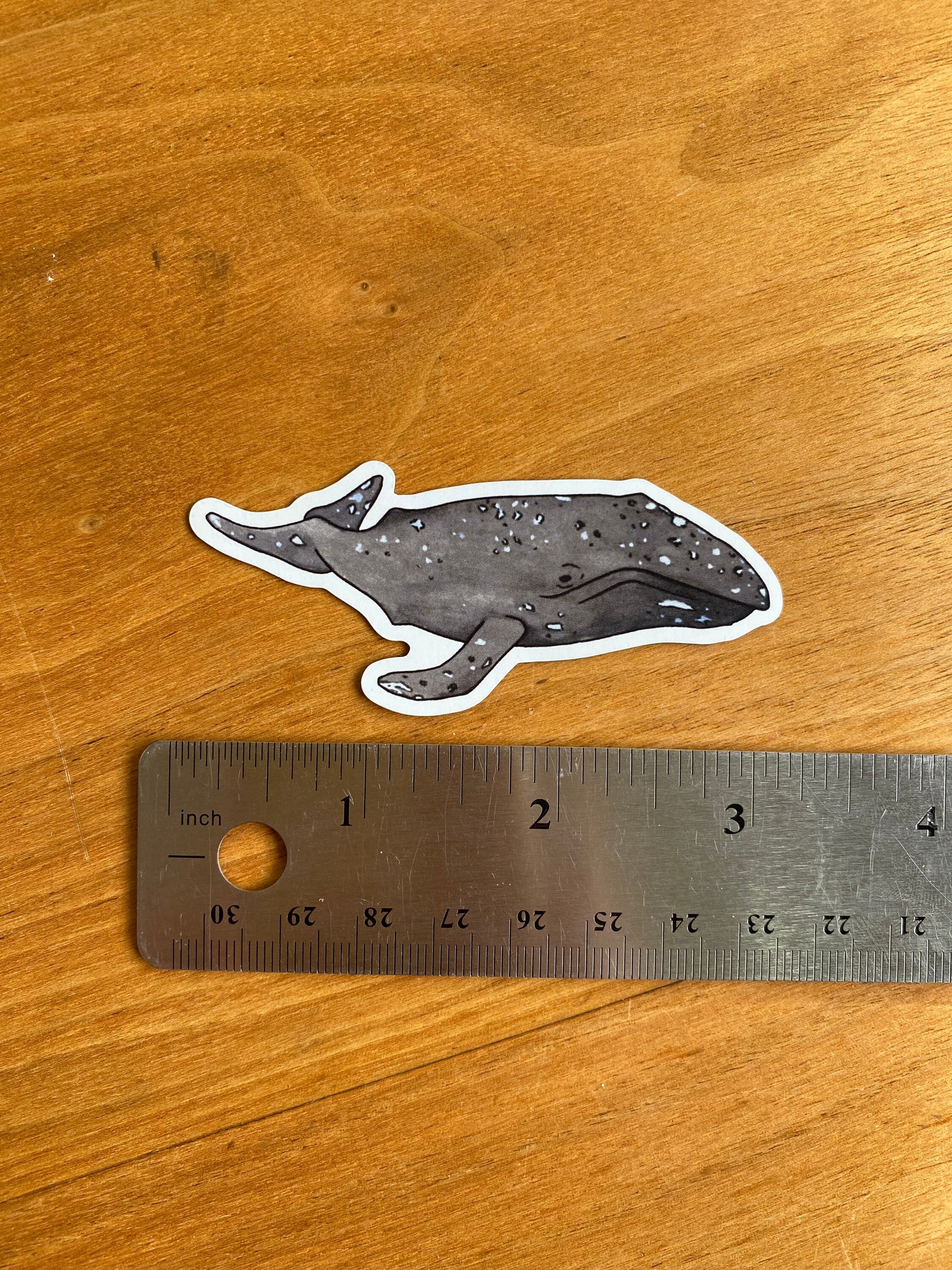 waterproof gray whale sticker 