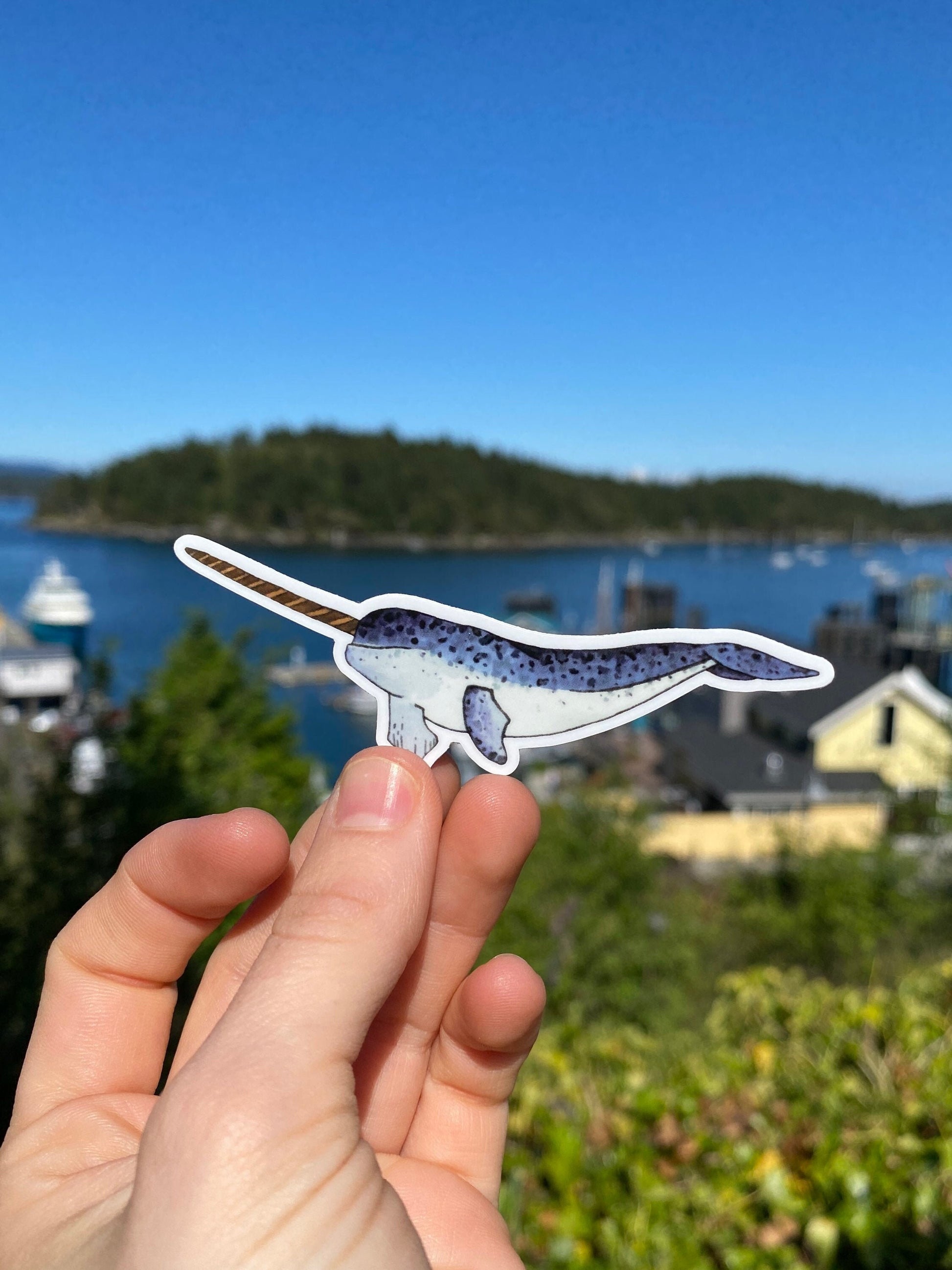 Waterproof narwhal sticker